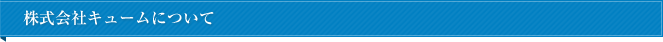 株式会社キュームについて